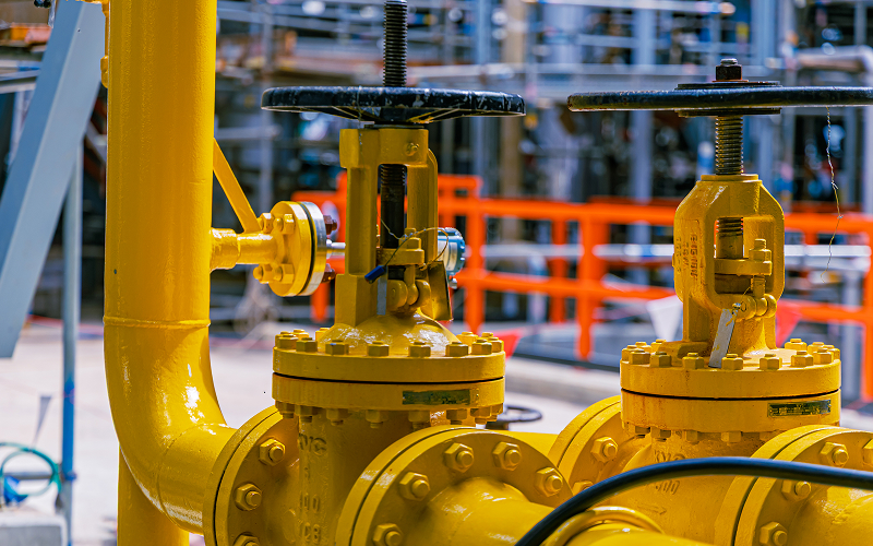 Cross-section diagram titled "Basics of Check Valves," showing body, hinge, disk, and seat.