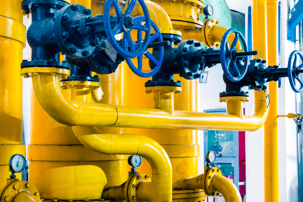 Check Valve