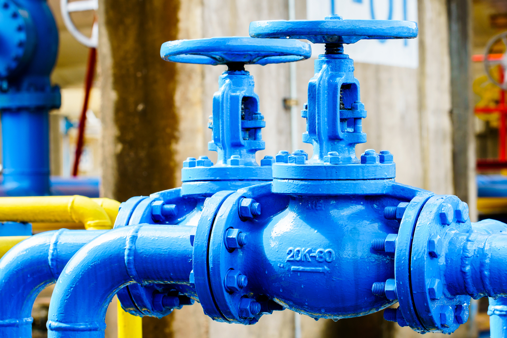 Globe Valve